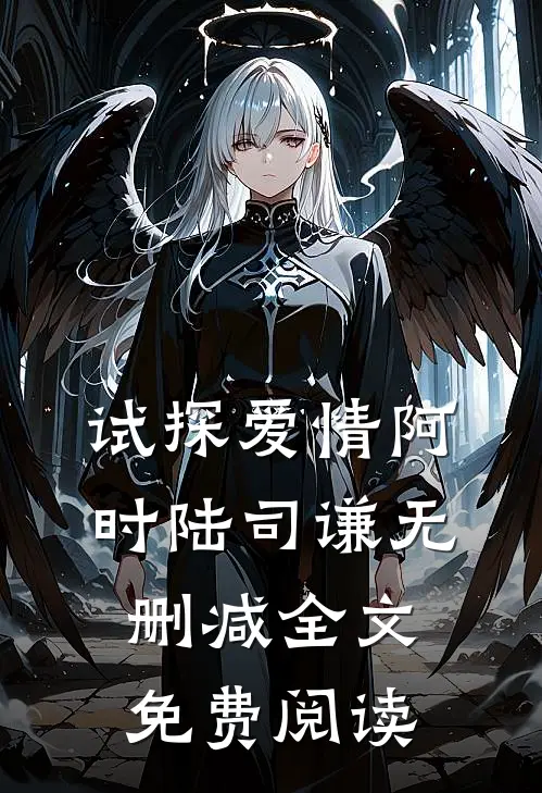 试探爱情阿时陆司谦无删减全文免费阅读
