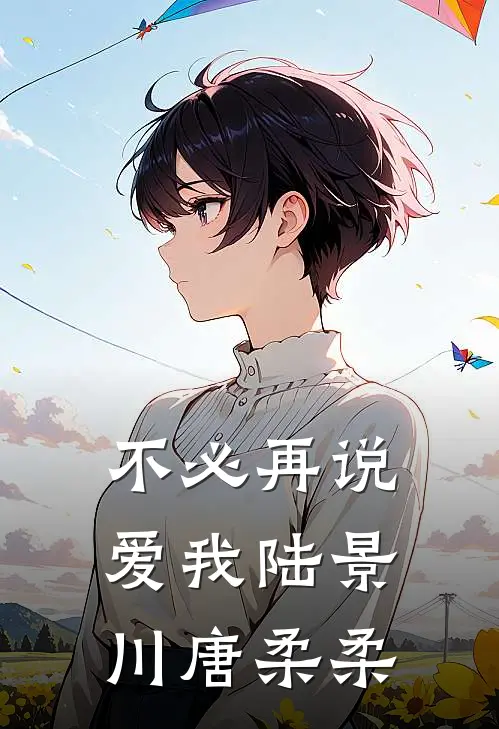 不必再说爱我陆景川唐柔柔