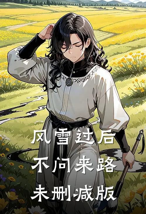 风雪过后，不问来路未删减版