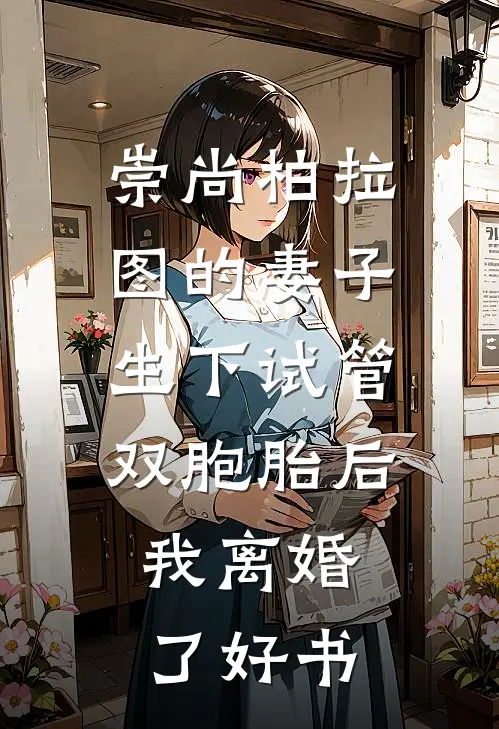 崇尚柏拉图的妻子生下试管双胞胎后，我离婚了好书
