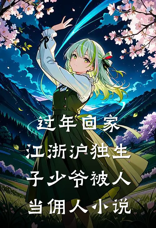 过年回家，江浙沪独生子少爷被人当佣人小说