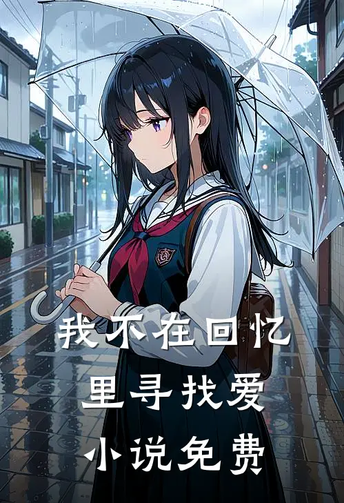 我不在回忆里寻找爱小说免费