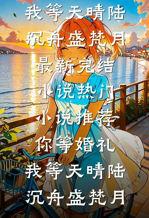 你等婚礼，我等天晴(陆沉舟盛梵月)最新完结小说_热门小说推荐你等婚礼，我等天晴陆沉舟盛梵月