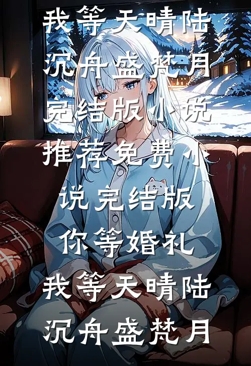 你等婚礼，我等天晴(陆沉舟盛梵月)完结版小说推荐_免费小说完结版你等婚礼，我等天晴陆沉舟盛梵月