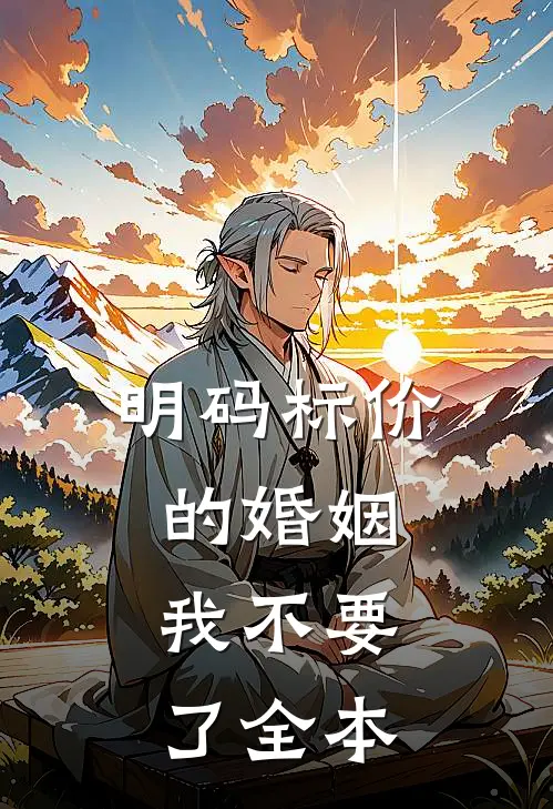 明码标价的婚姻，我不要了全本