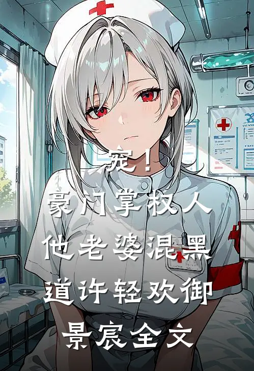 宠！豪门掌权人他老婆混黑道许轻欢御景宸全文