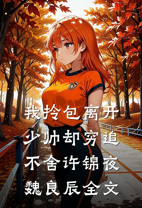 我拎包离开，少帅却穷追不舍许锦夜魏良辰全文
