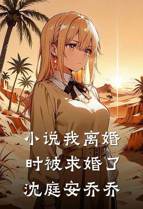 小说我离婚时被求婚了(沈庭安乔乔)