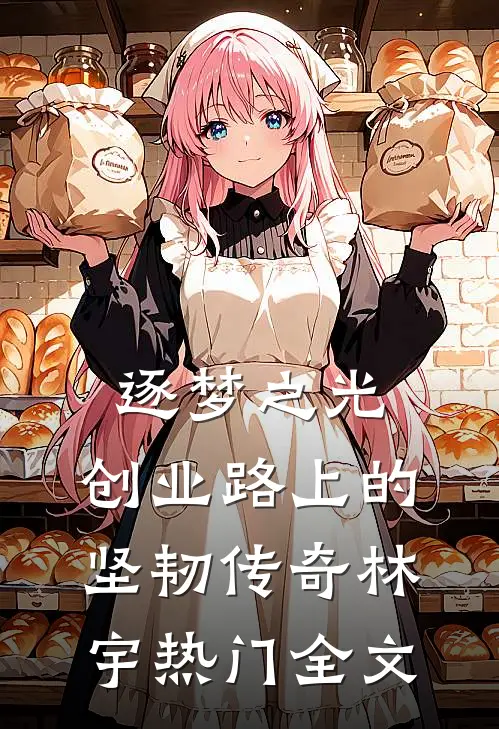 逐梦之光：创业路上的坚韧传奇林宇热门全文