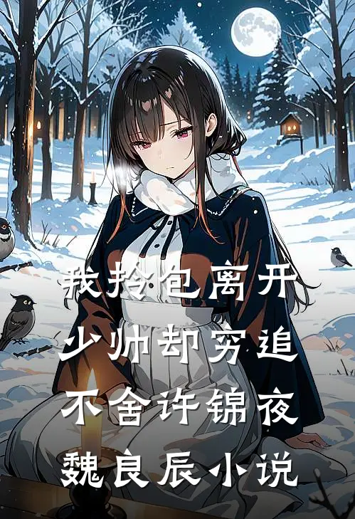我拎包离开，少帅却穷追不舍许锦夜魏良辰小说