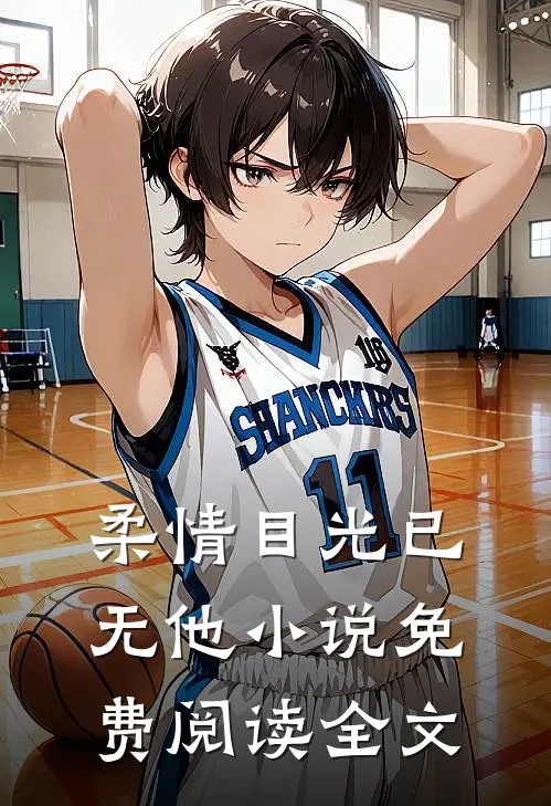 柔情目光已无他小说免费阅读全文