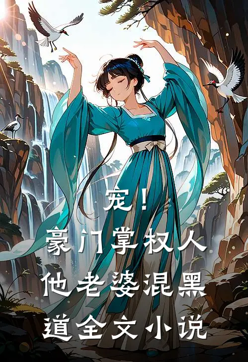 宠！豪门掌权人他老婆混黑道全文小说