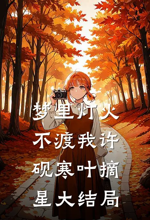 梦里灯火不渡我许砚寒叶摘星大结局