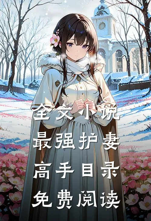 全文小说最强护妻高手目录免费阅读