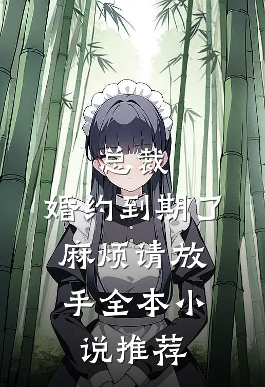总裁,婚约到期了,麻烦请放手全本推荐免费阅读