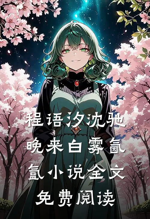 程语汐沈驰晚来白雾氤氲小说全文免费阅读
