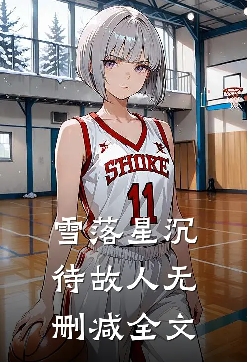 雪落星沉待故人无删减全文