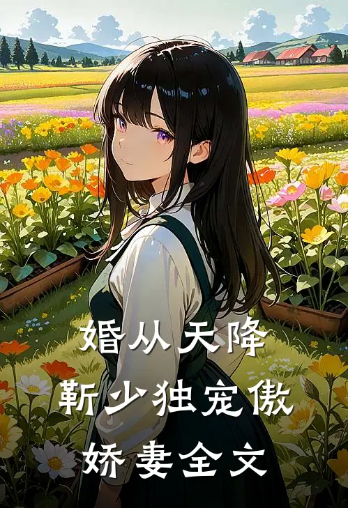 婚从天降：靳少独宠傲娇妻全文