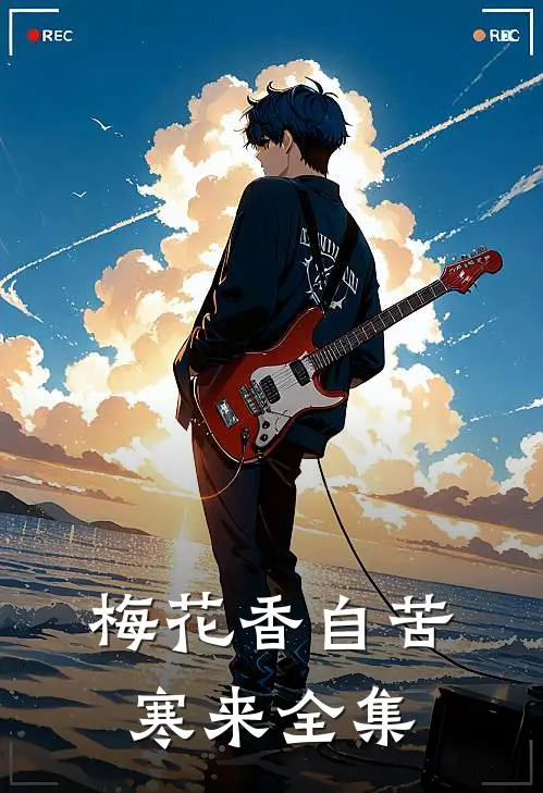 梅花香自苦寒来 全集