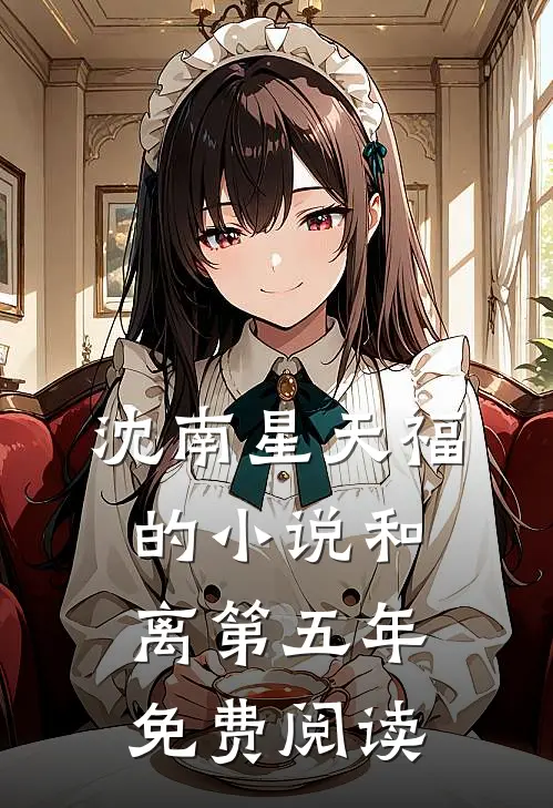 沈南星天福的小说和离第五年免费阅读