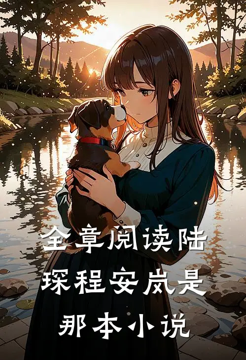 全章阅读陆琛程安岚是那本小说