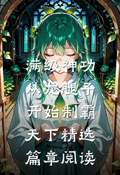 满级神功，从龙腿子开始制霸天下精选篇章阅读